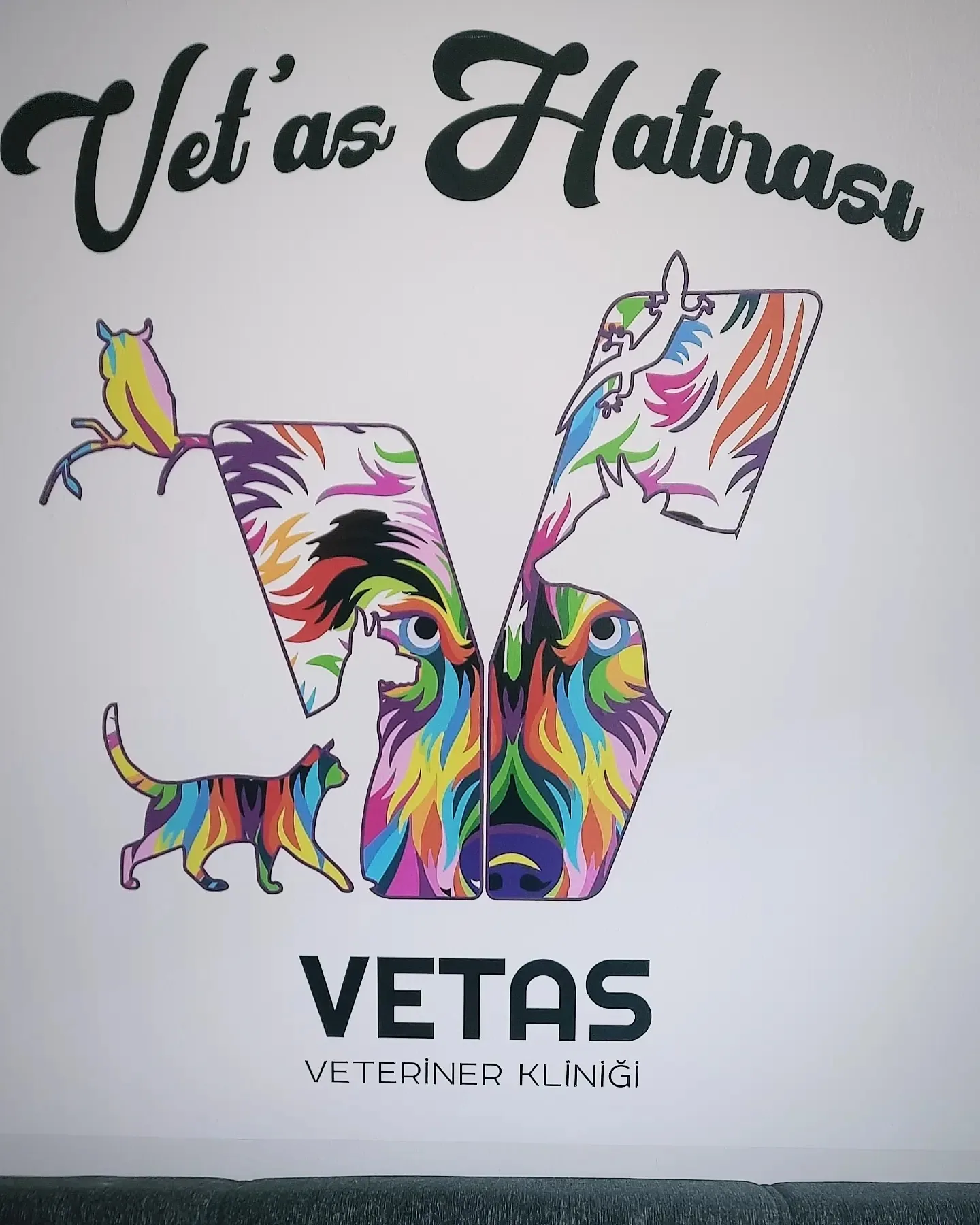 Vetas Veteriner Kliniği Duvar Giydirme, Uşak